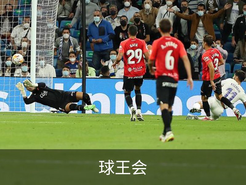 了解球王会